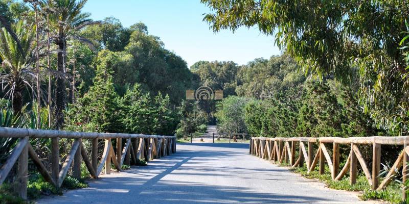 Alicante : een paradijs voor wandelliefhebbers 