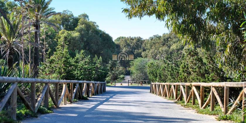 Alicante : een paradijs voor wandelliefhebbers 