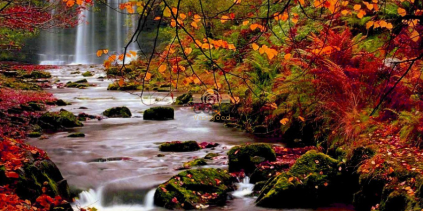 🍂 Ontdek de warme kleuren en frisse geuren van de Spaanse herfst
