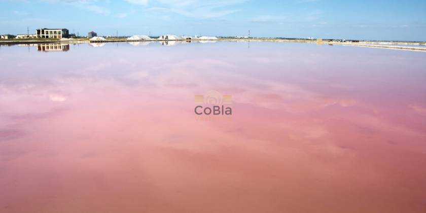 Un voyage enchanteur à travers les magnifiques lacs de Salt de Torrevieja 