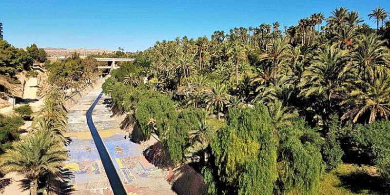 🌴 Elche: groene oase aan de Costa Blanca Zuid