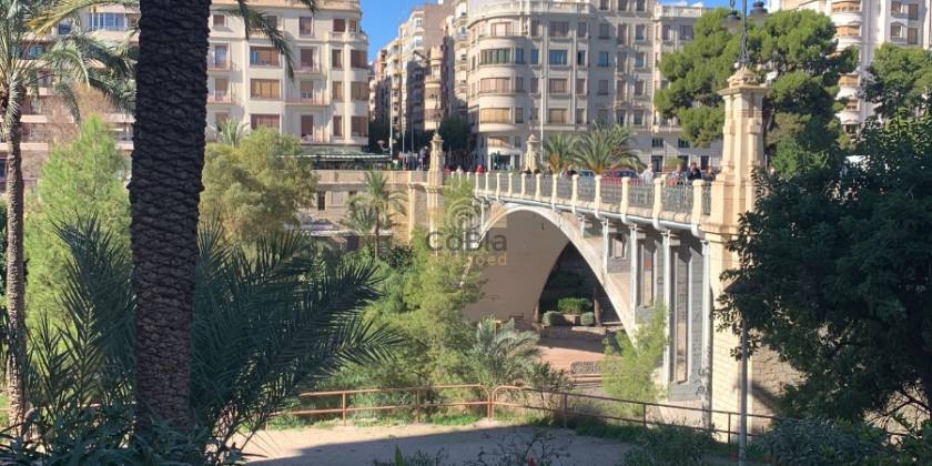 La ville des palmiers Elche 