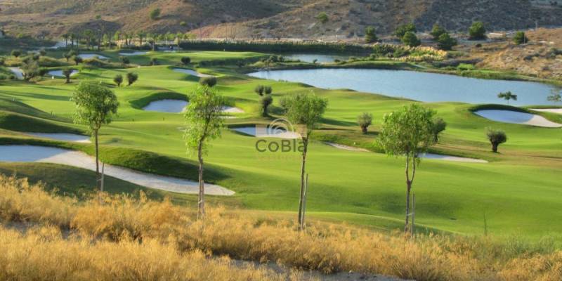 Font del Llop Golf resort 