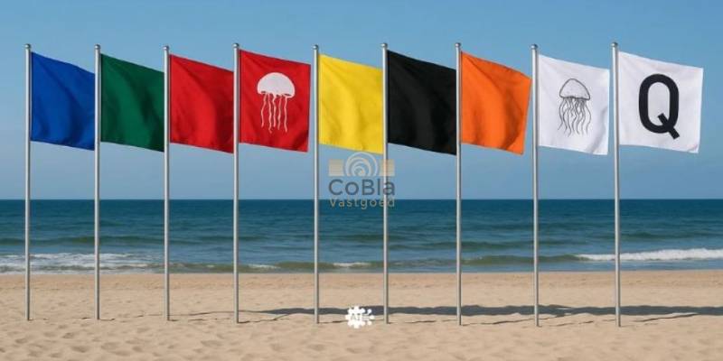 🌊 What do the beach flags in Spain mean?