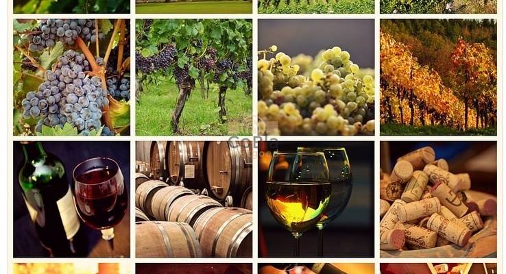 Some Spanish wineries among the best in the world! 🍷🍇