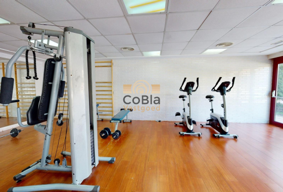 Nouvelle construction - Attique - Archena - Villanueva del Rio Segura