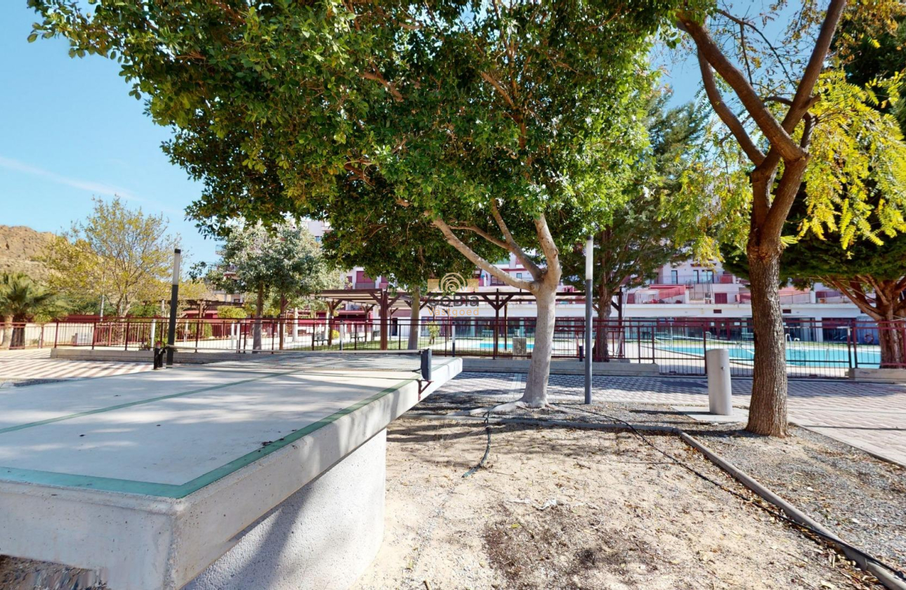 Nouvelle construction - Attique - Archena - Villanueva del Rio Segura