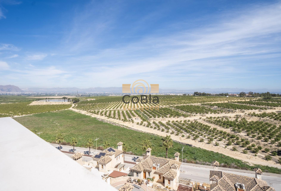 Nieuwbouw Woningen - Villa - Algorfa - La Finca Golf