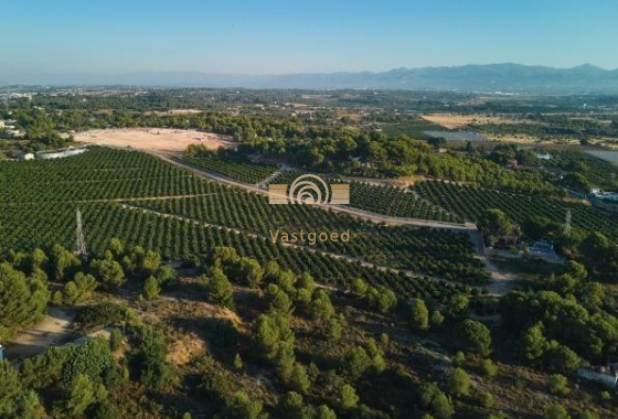 Nouvelle construction - Apartment - Godella - Campolivar