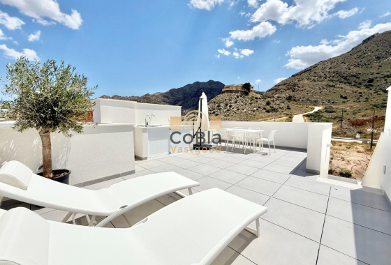 Nieuwbouw Woningen - Herenhuis - Cox - Sin Zona