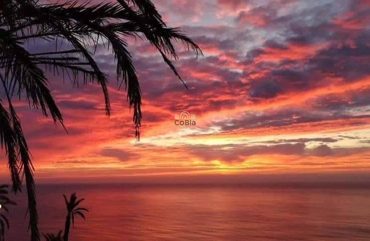 Nieuwbouw Woningen - Bungalow - Torrevieja - Altos del Sol