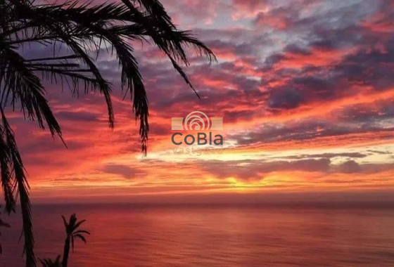 Nieuwbouw Woningen - Bungalow - Torrevieja - Altos del Sol