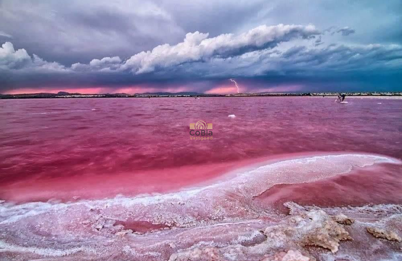 Nieuwbouw Woningen - Bungalow - Torrevieja - Altos del Sol