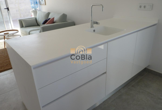 Nouvelle construction - Maison de ville - Pilar de la Horadada