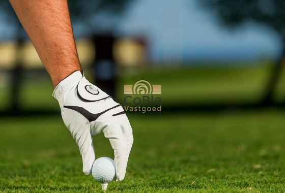 Nouvelle construction - Villa - Pilar de la Horadada - Lo Romero Golf