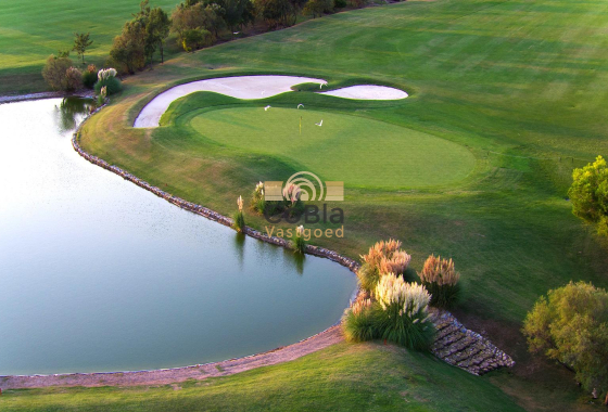 Nouvelle construction - Villa - Pilar de la Horadada - Lo Romero Golf