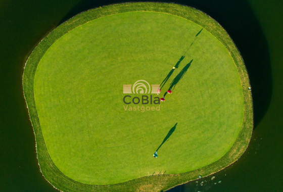 Nouvelle construction - Villa - Pilar de la Horadada - Lo Romero Golf