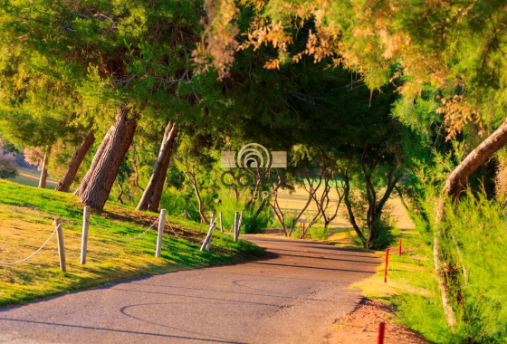 Nouvelle construction - Villa - Pilar de la Horadada - Lo Romero Golf