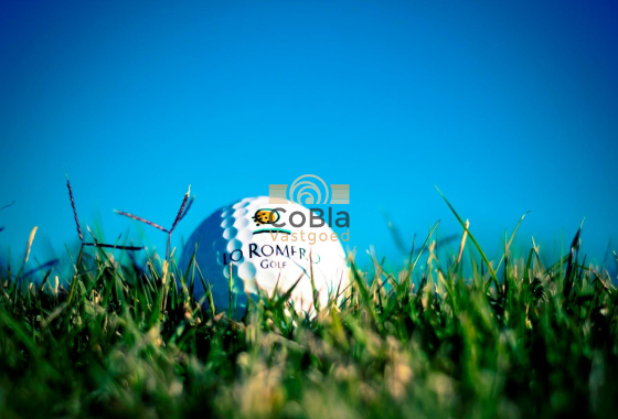 Nouvelle construction - Villa - Pilar de la Horadada - Lo Romero Golf