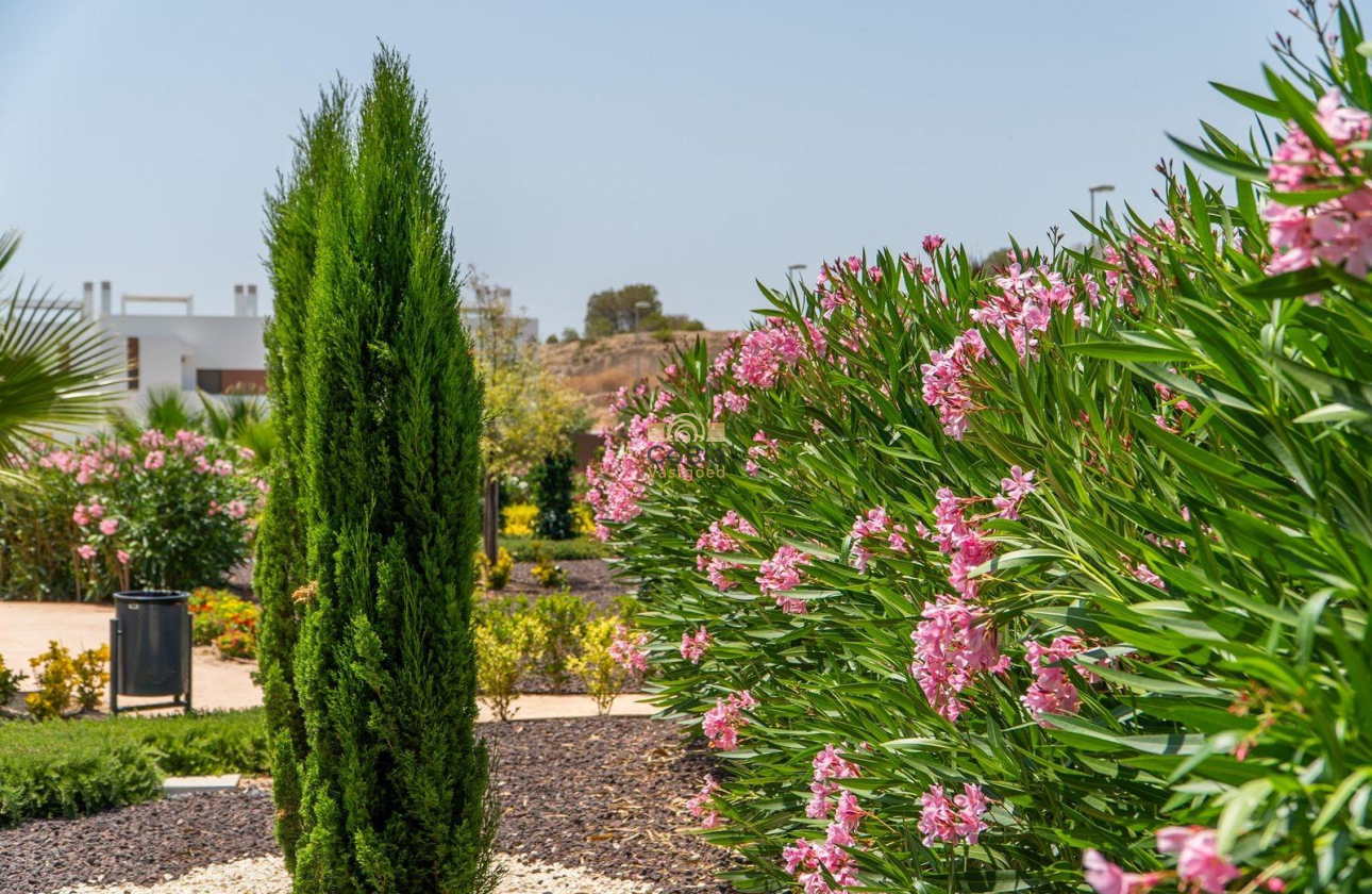 Nieuwbouw Woningen - Herenhuis - Orihuela - Vistabella Golf