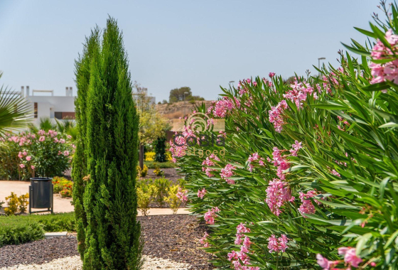 Nieuwbouw Woningen - Bungalow - Orihuela - Vistabella Golf