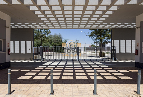 Nieuwbouw Woningen - Penthouse - Vera - El Playazo