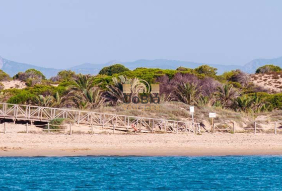 Nieuwbouw Woningen - Penthouse - Guardamar del Segura - Pueblo