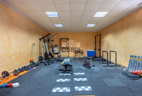 Resale - Detached Villa - Los Montesinos - La Herrada