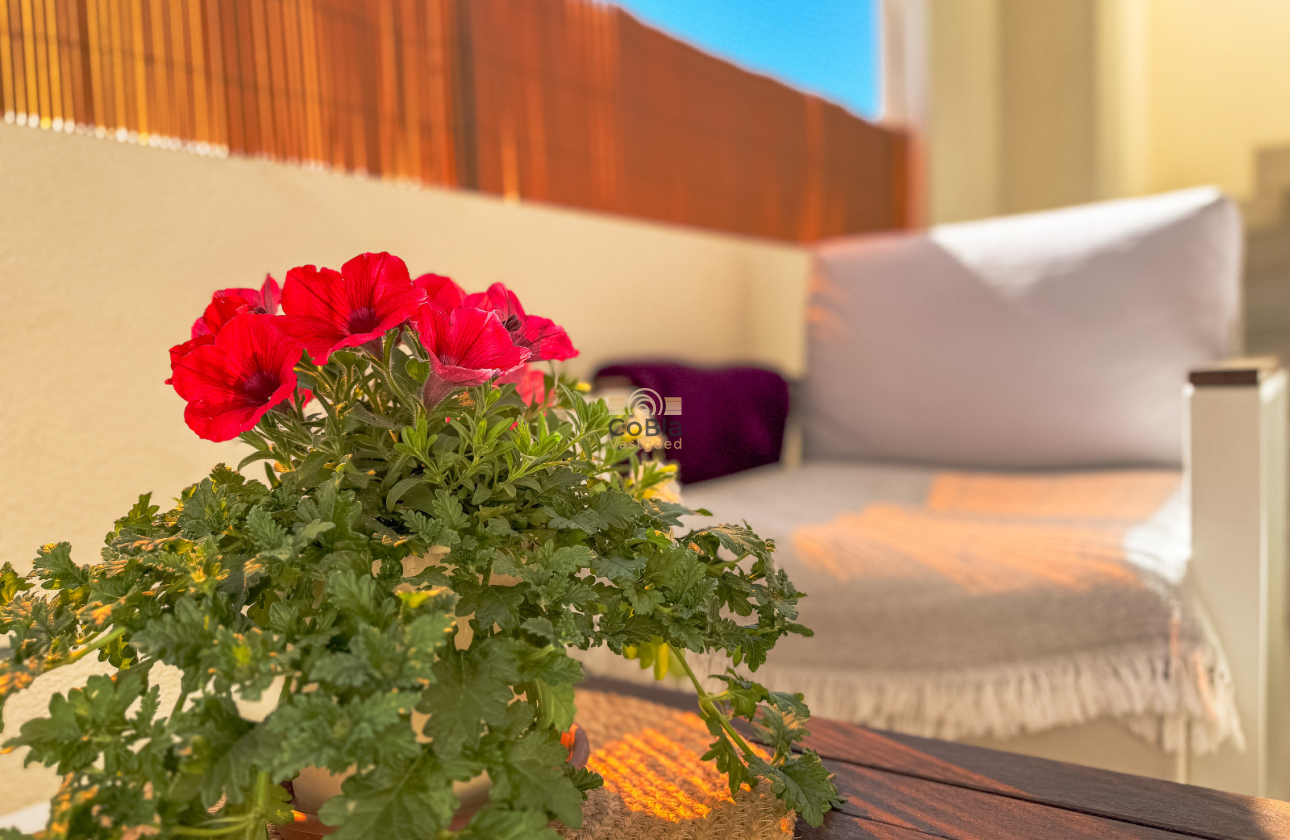 Revente - Bungalow - Los Altos