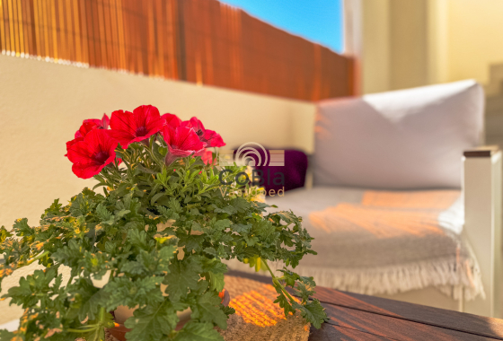 Revente - Bungalow - Los Altos