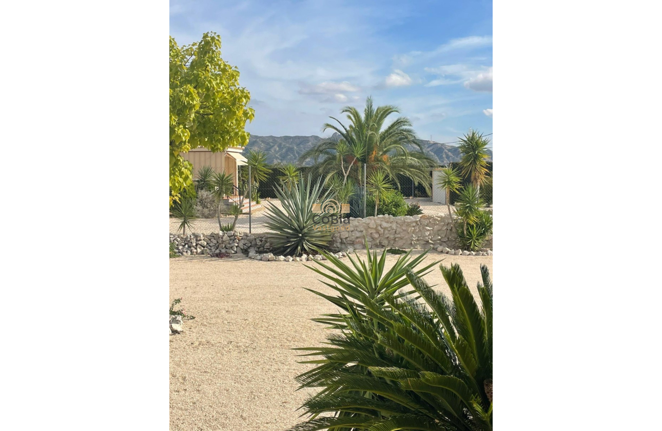 Resale - Finca / Country Property - Abanilla