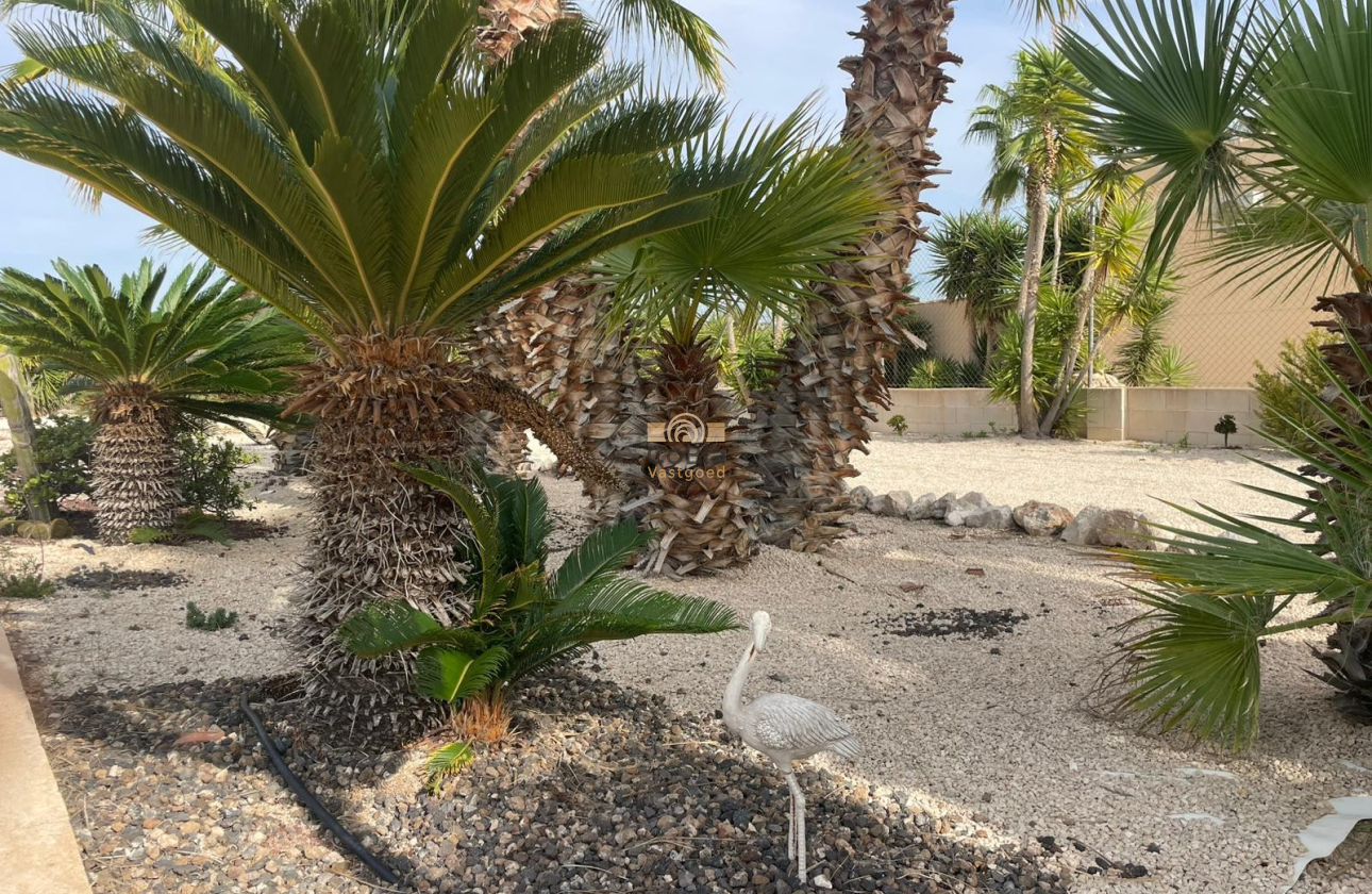 Resale - Finca / Country Property - Abanilla