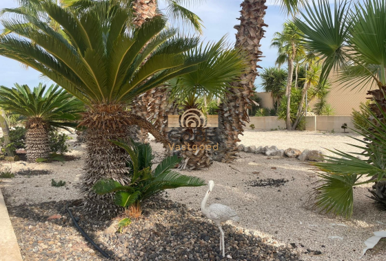 Resale - Finca / Country Property - Abanilla