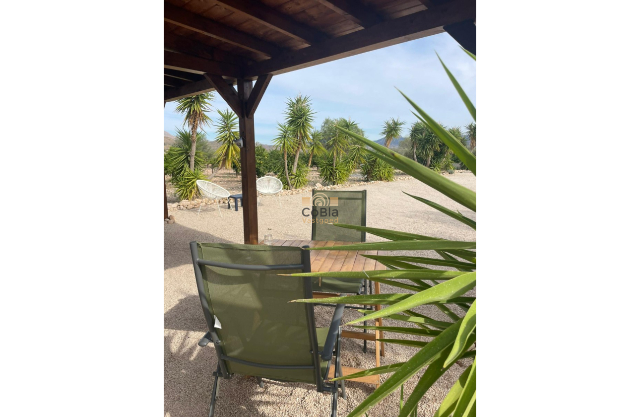 Resale - Finca / Country Property - Abanilla