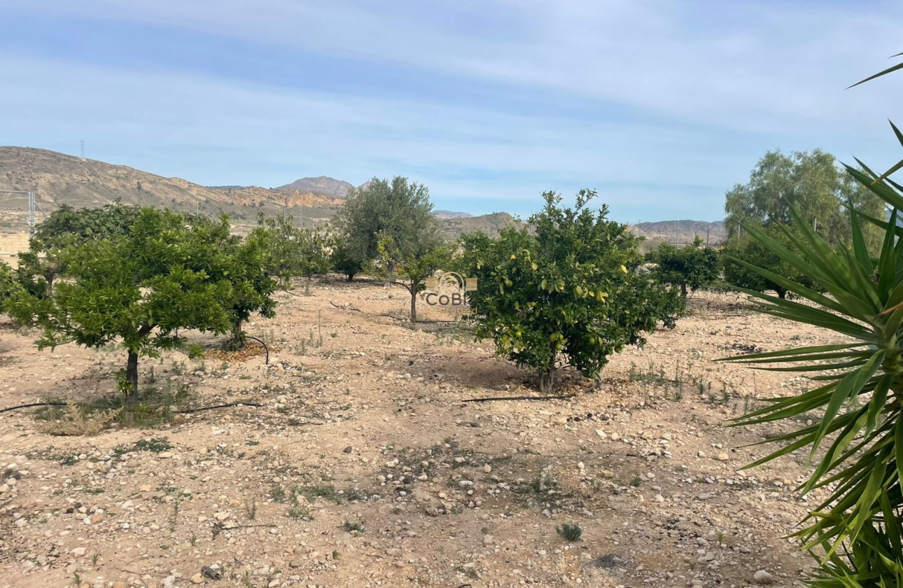 Resale - Finca / Country Property - Abanilla