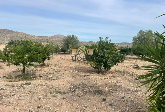 Resale - Finca / Country Property - Abanilla