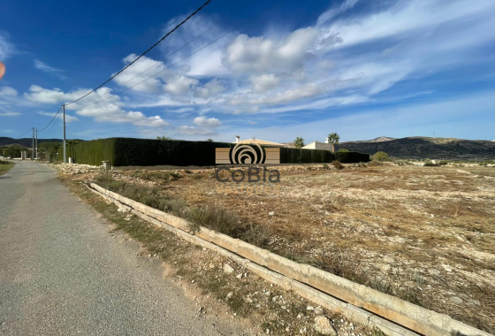 Resale - Finca / Country Property - Abanilla