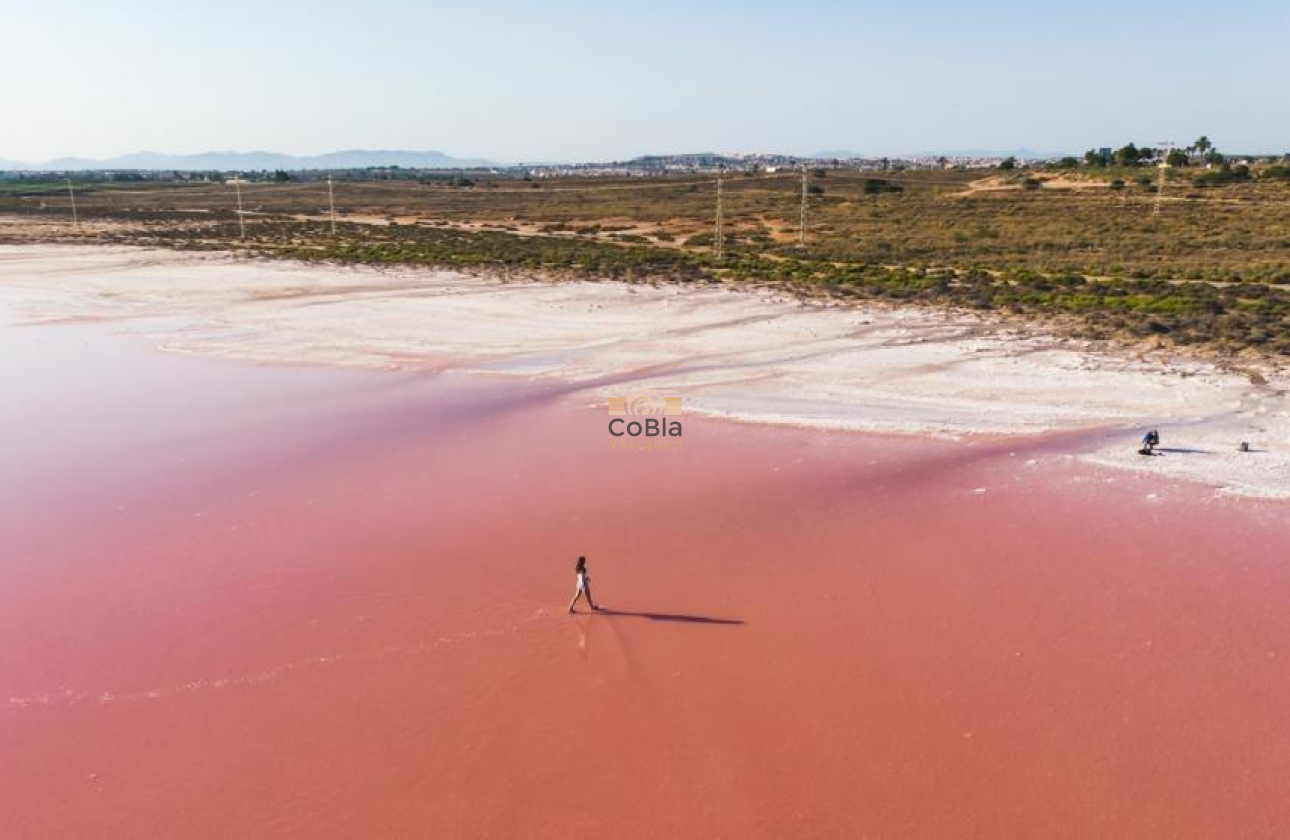 Nieuwbouw Woningen - Penthouse - Torrevieja - Playa de los Locos