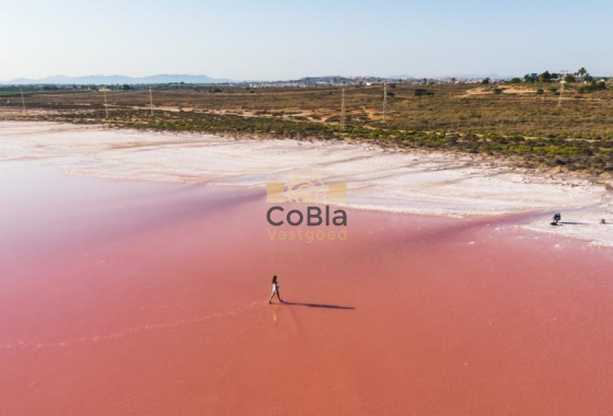 Nieuwbouw Woningen - Penthouse - Torrevieja - Playa de los Locos