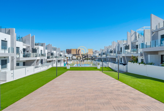 Herverkoop - Apartments - San Miguel de Salinas - San Miguel