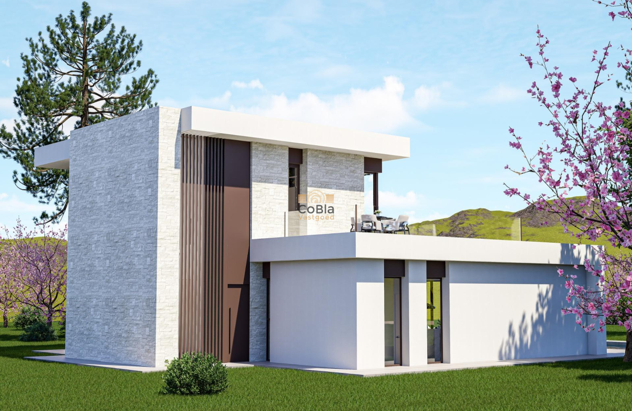 Nieuwbouw Woningen - Villa - Pinoso - Lel