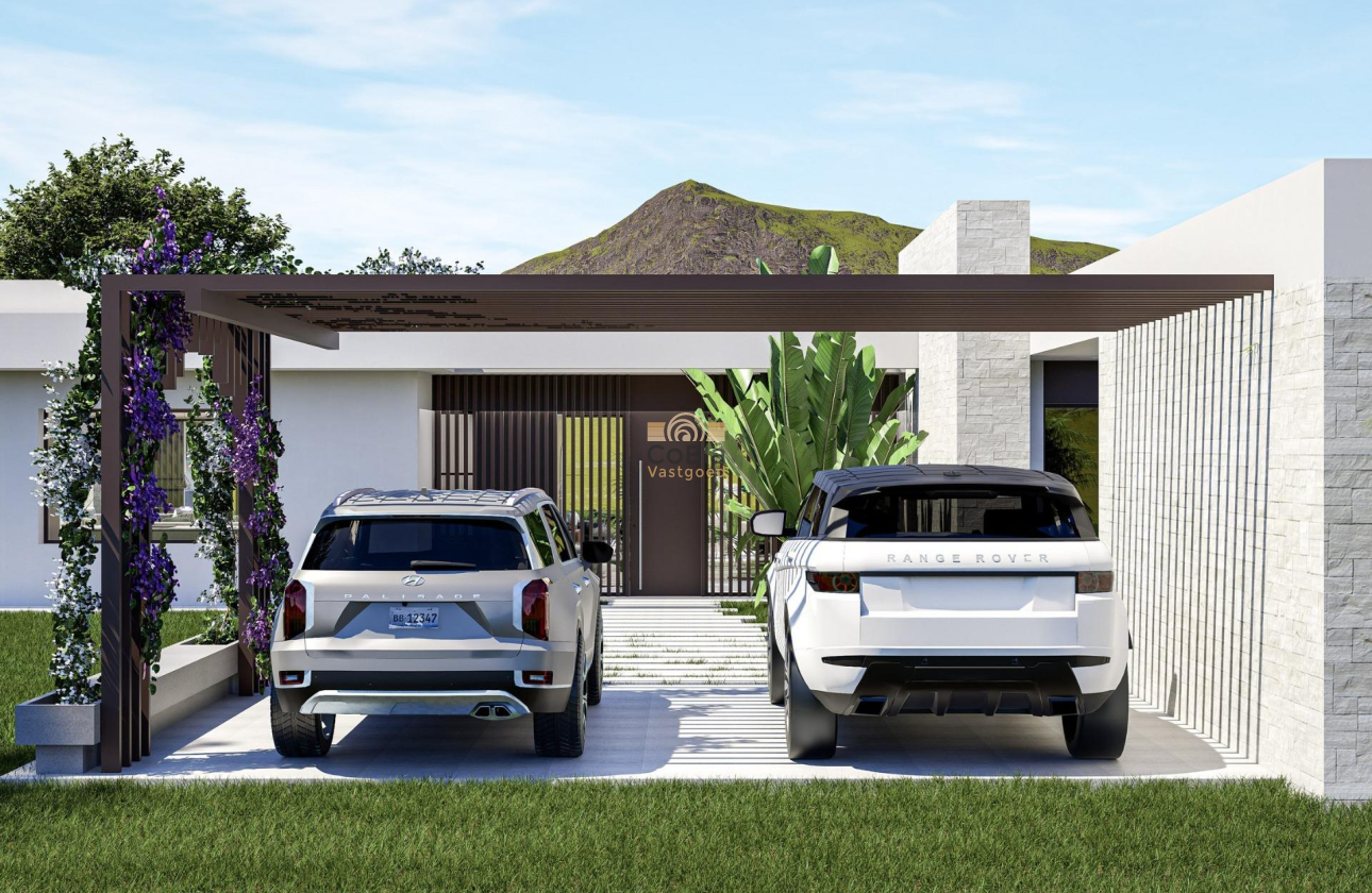 Nieuwbouw Woningen - Villa - Pinoso - Lel