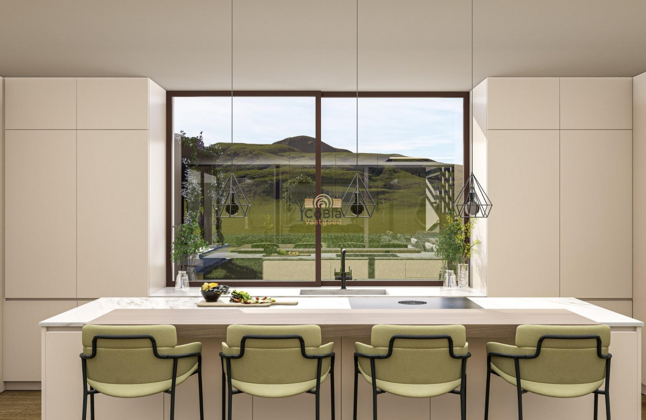 Nieuwbouw Woningen - Villa - Pinoso - Lel