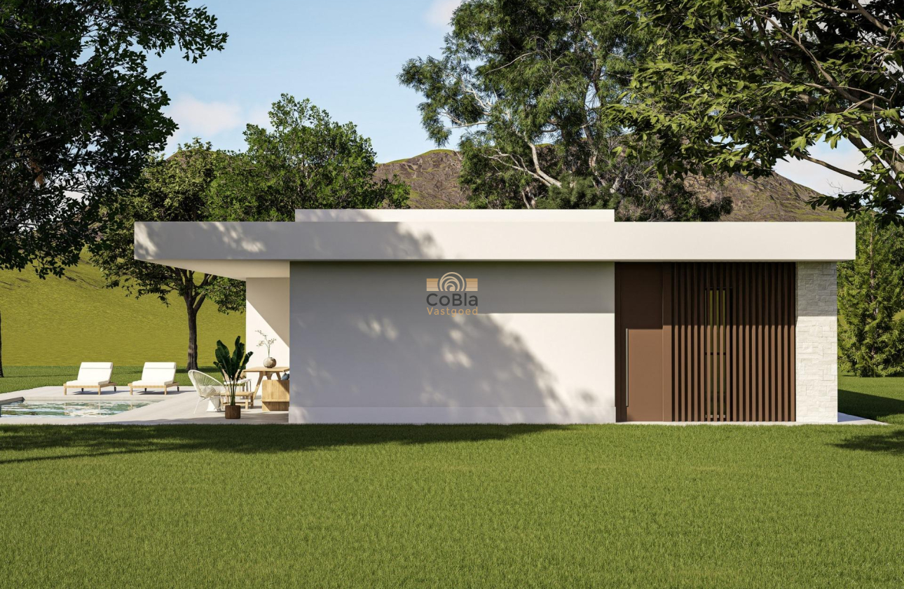 Neue Gebäude - Villa - Pinoso - Lel