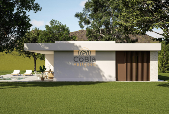 Neue Gebäude - Villa - Pinoso - Lel