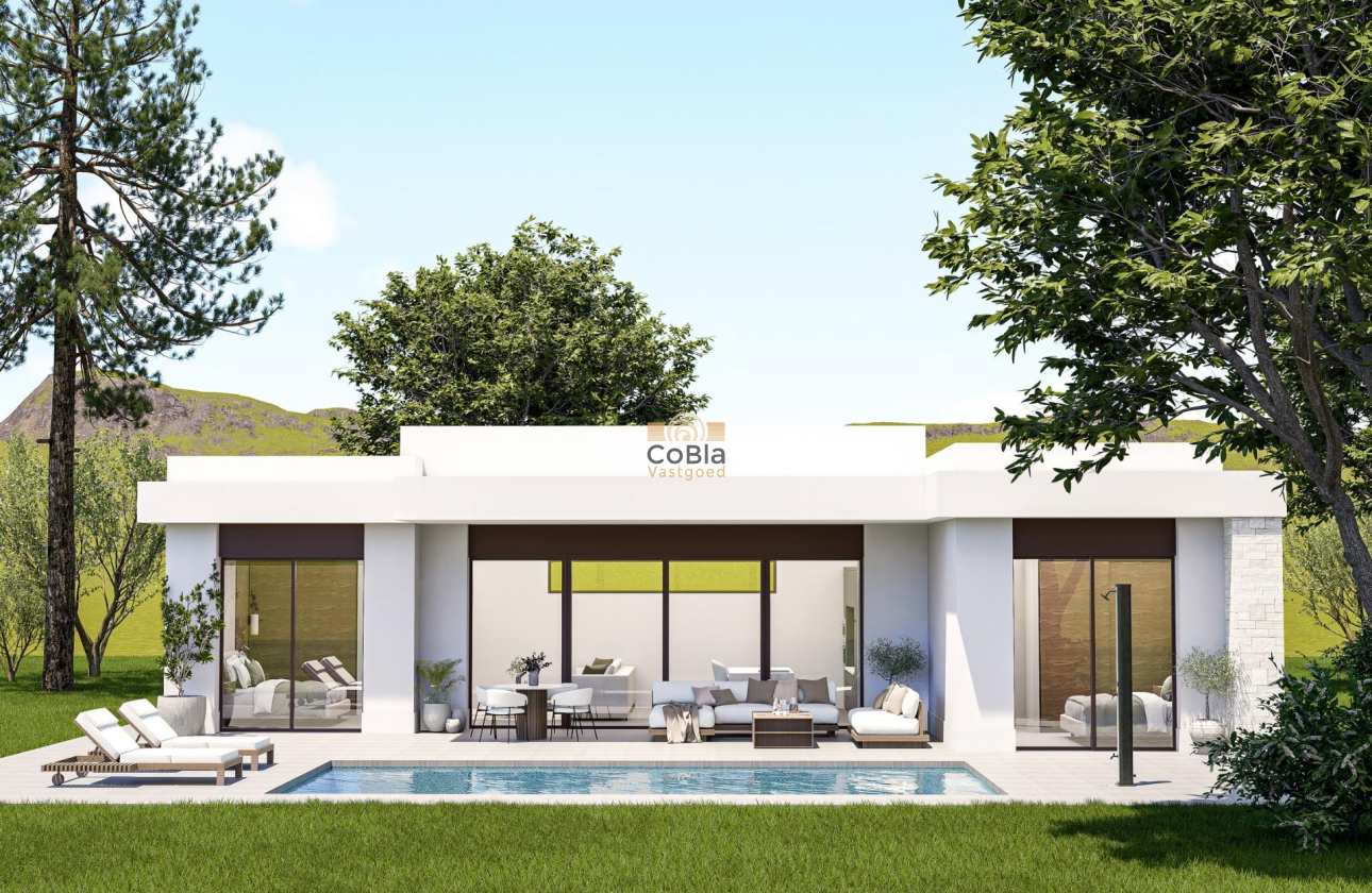 Neue Gebäude - Villa - Pinoso - Lel