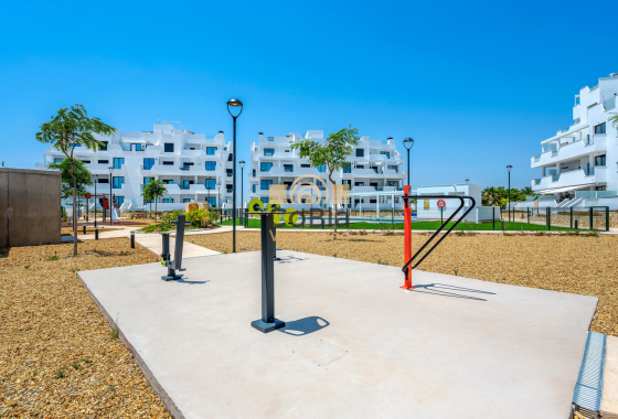 Wiederverkauf - Apartments - Torre Pacheco - Santa Rosalía