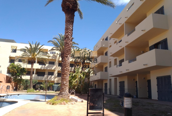 Neue Gebäude - Penthouse - Vera - Puerto del Rey