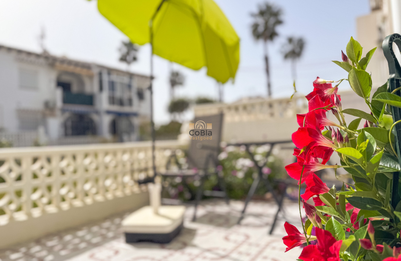 Revente - Bungalow - Torrevieja - Lago Jardin