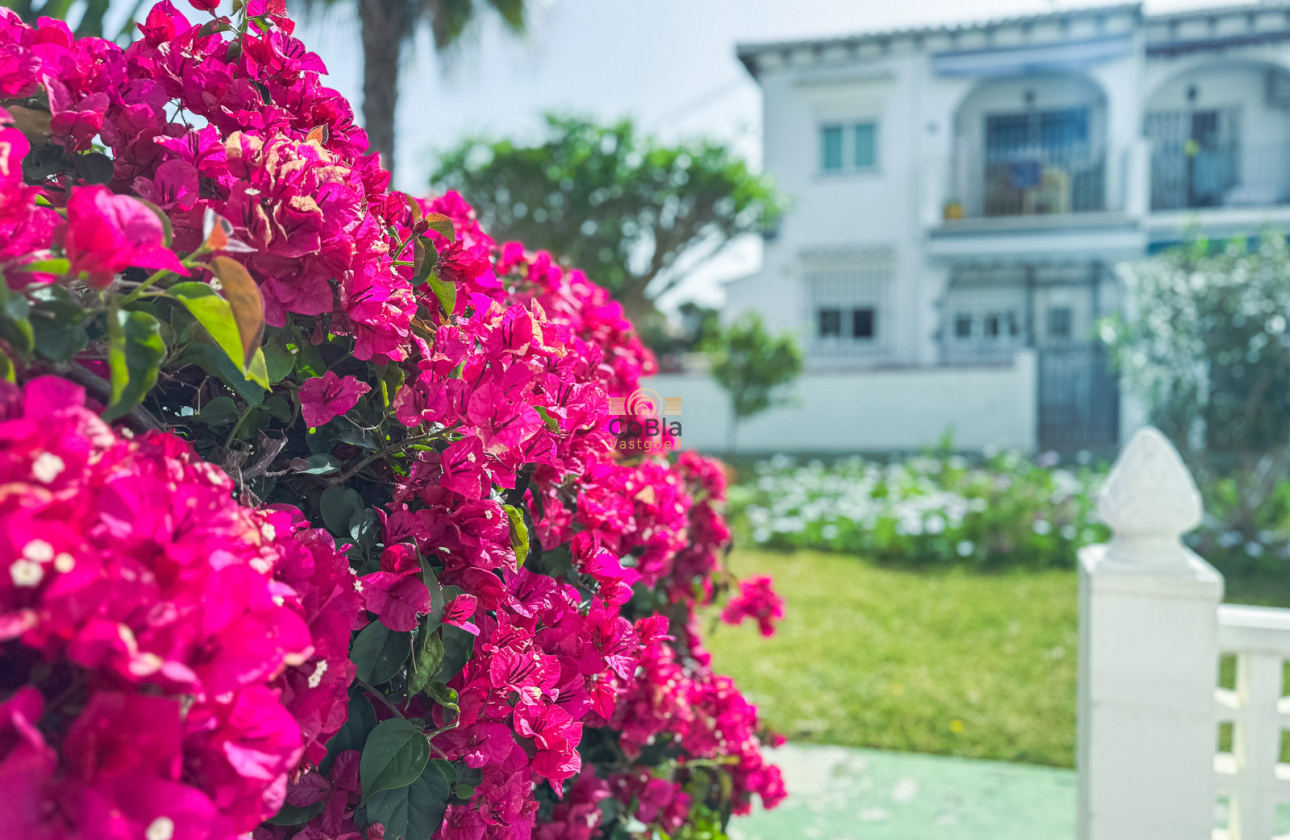 Revente - Bungalow - Torrevieja - Lago Jardin